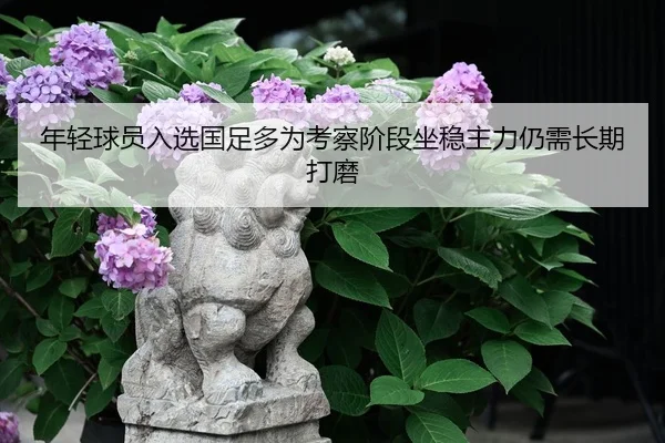 img_1789572452844_892_0_177.jpg